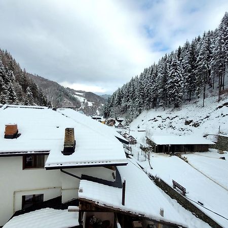 Casa Maryon Villa Rucăr Buitenkant foto