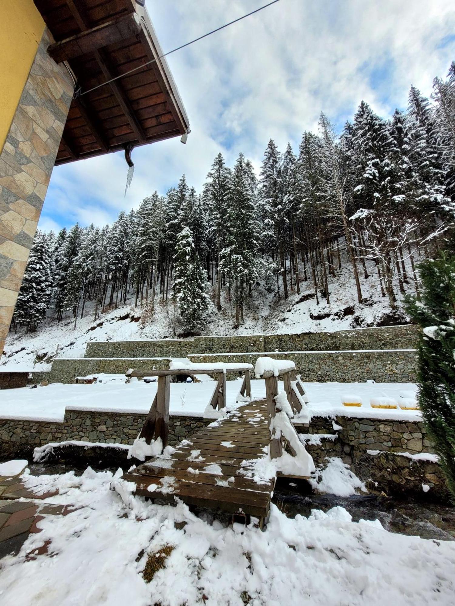 Casa Maryon Villa Rucăr Buitenkant foto